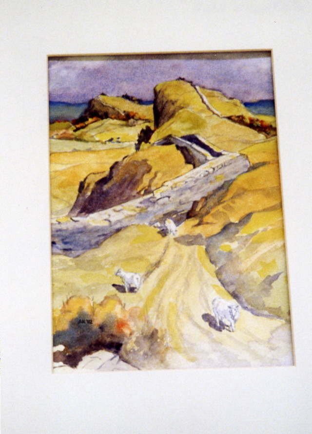 Hadrian's
Wall