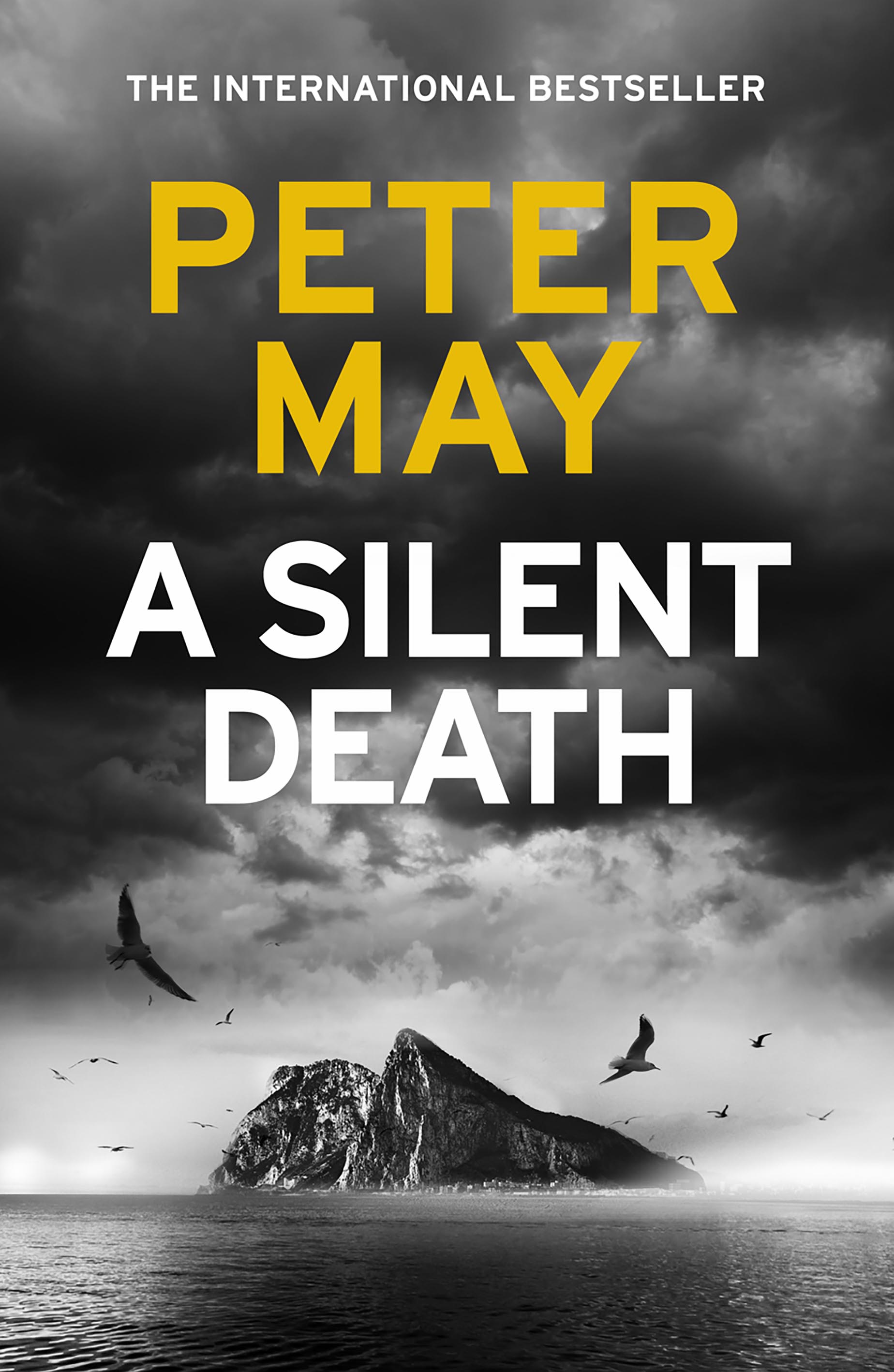 A Silent
                        Death by Peter May